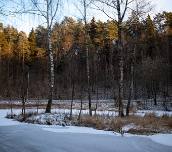Зима в Подмосковье