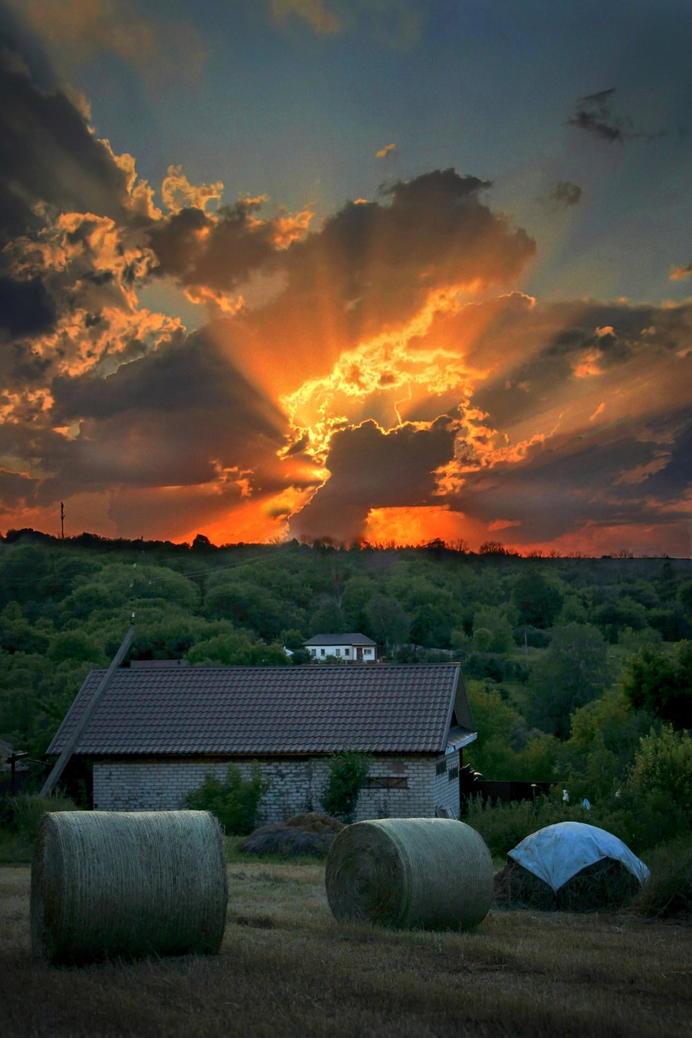 Фото заряженное деревенским детством