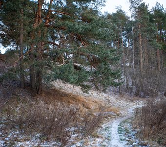 Зима в Подмосковье