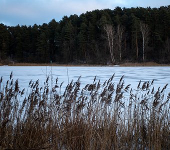 Зима в Подмосковье