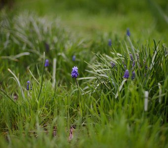Маленькая жизнь.