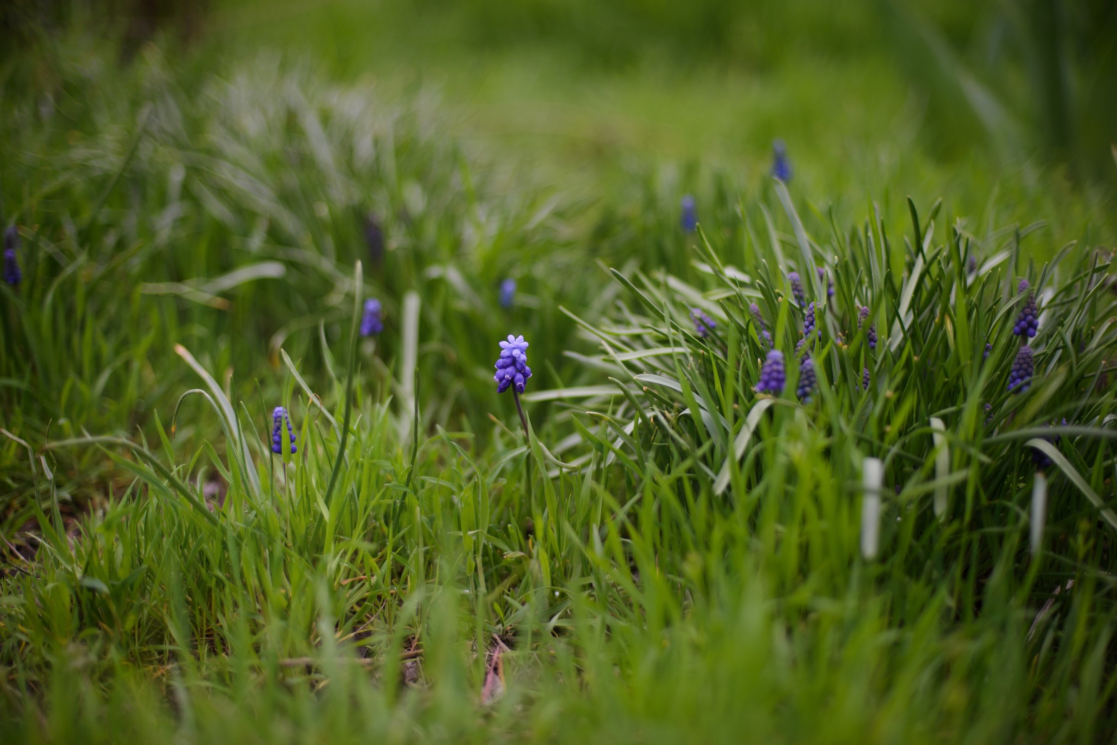 Маленькая жизнь