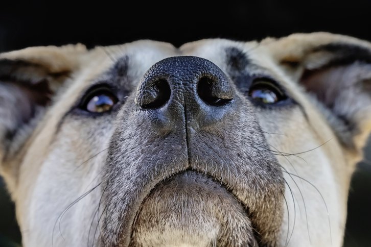 Фото: IStockPhoto