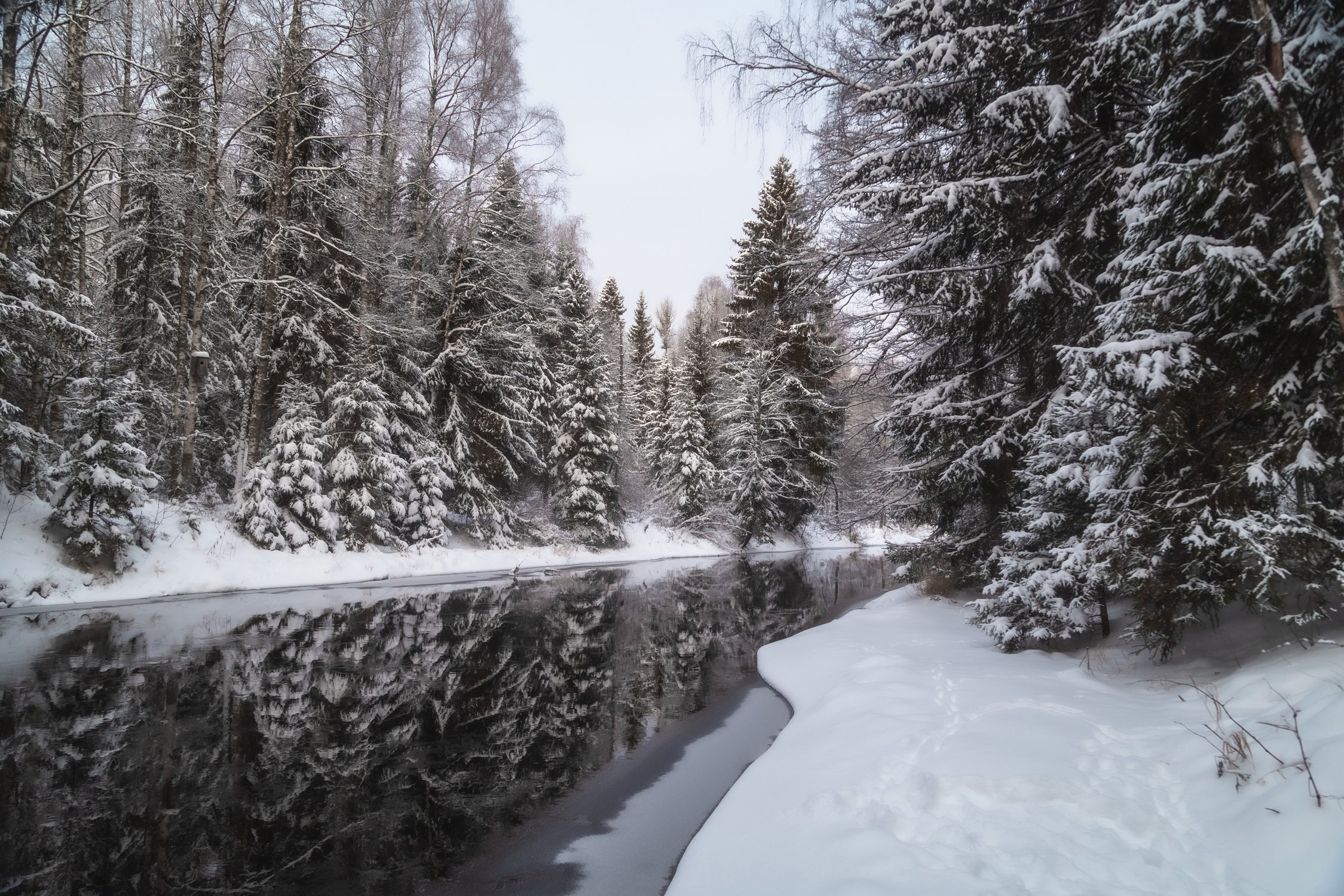 Зимняя сказка