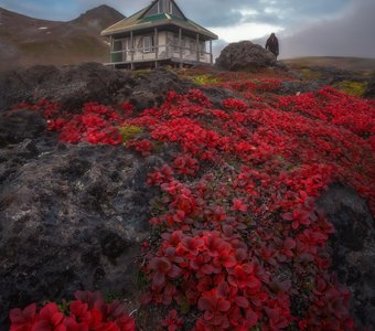 Багряные ландшафты Камчатки