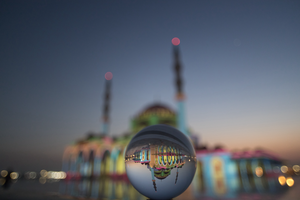 10 причин приехать в Шарджу зимой: от заповедников до фестивалей