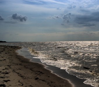 На берегу Таганрогского залива