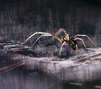 Искры света