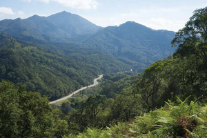 Сочинский нацпарк отверг обвинения в продаже нелегальных туров