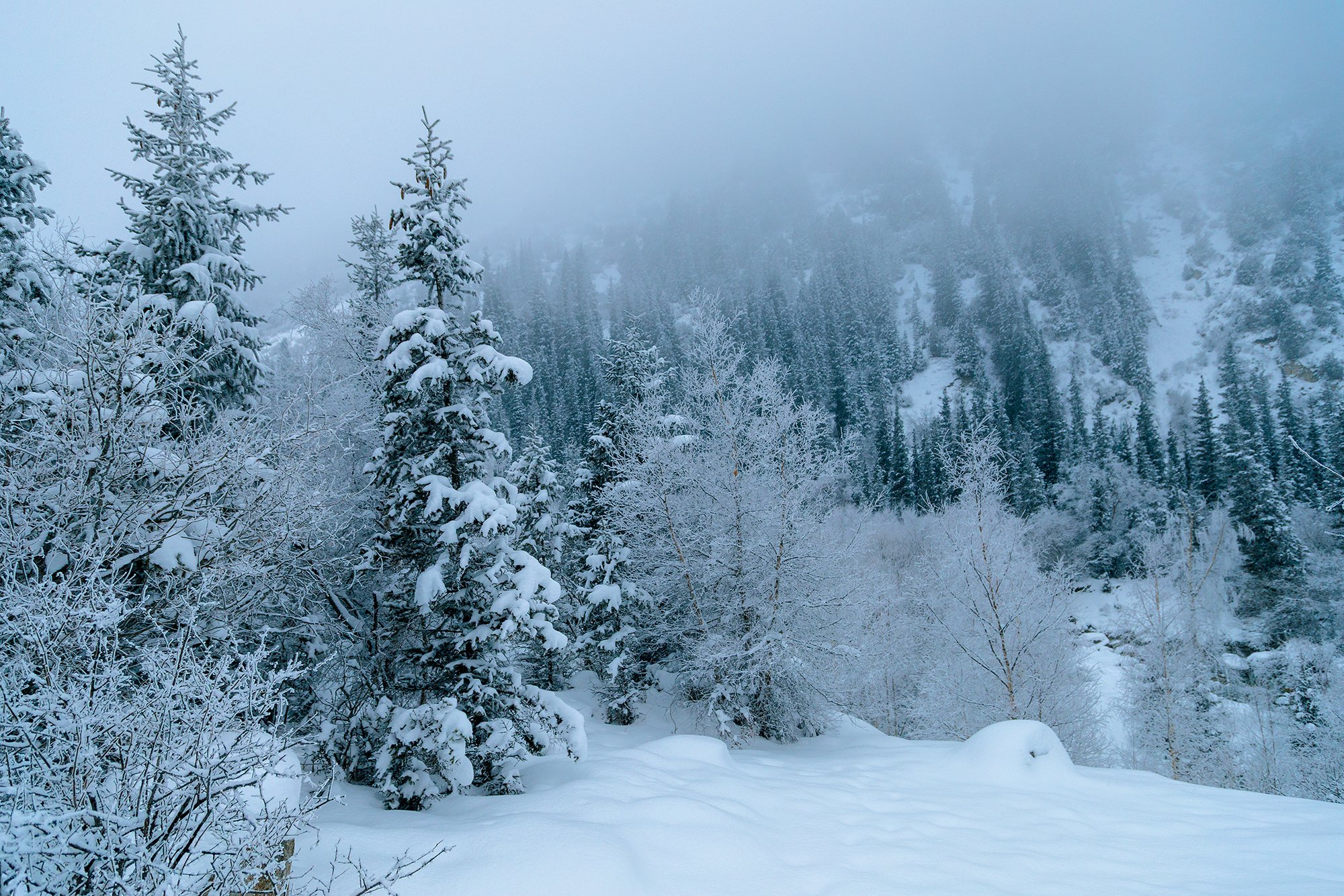 В день зимнего солнцестояния