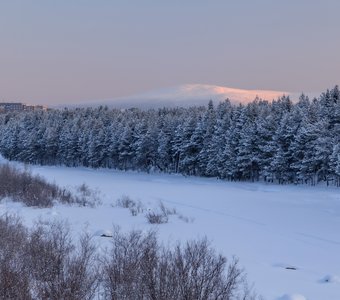 Зимняя Нива