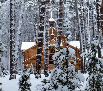 Храм преподобного Силуана Афонского