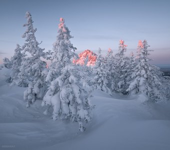 Откликной гребень