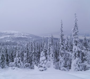 Пасмурный день