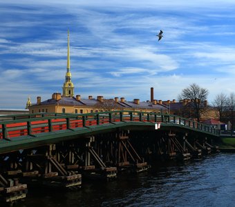 Дорога на Заячий остров. Петербург