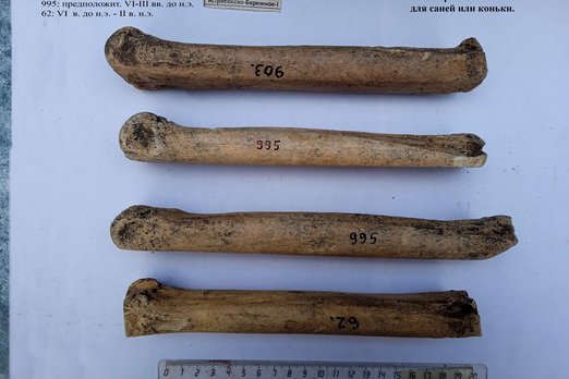 На Кубани найдены античные костяные «коньки»