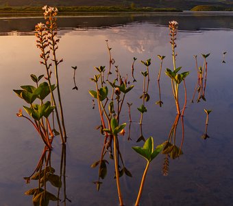 Тымкыгытгын