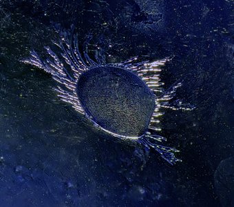 "Космический" лед