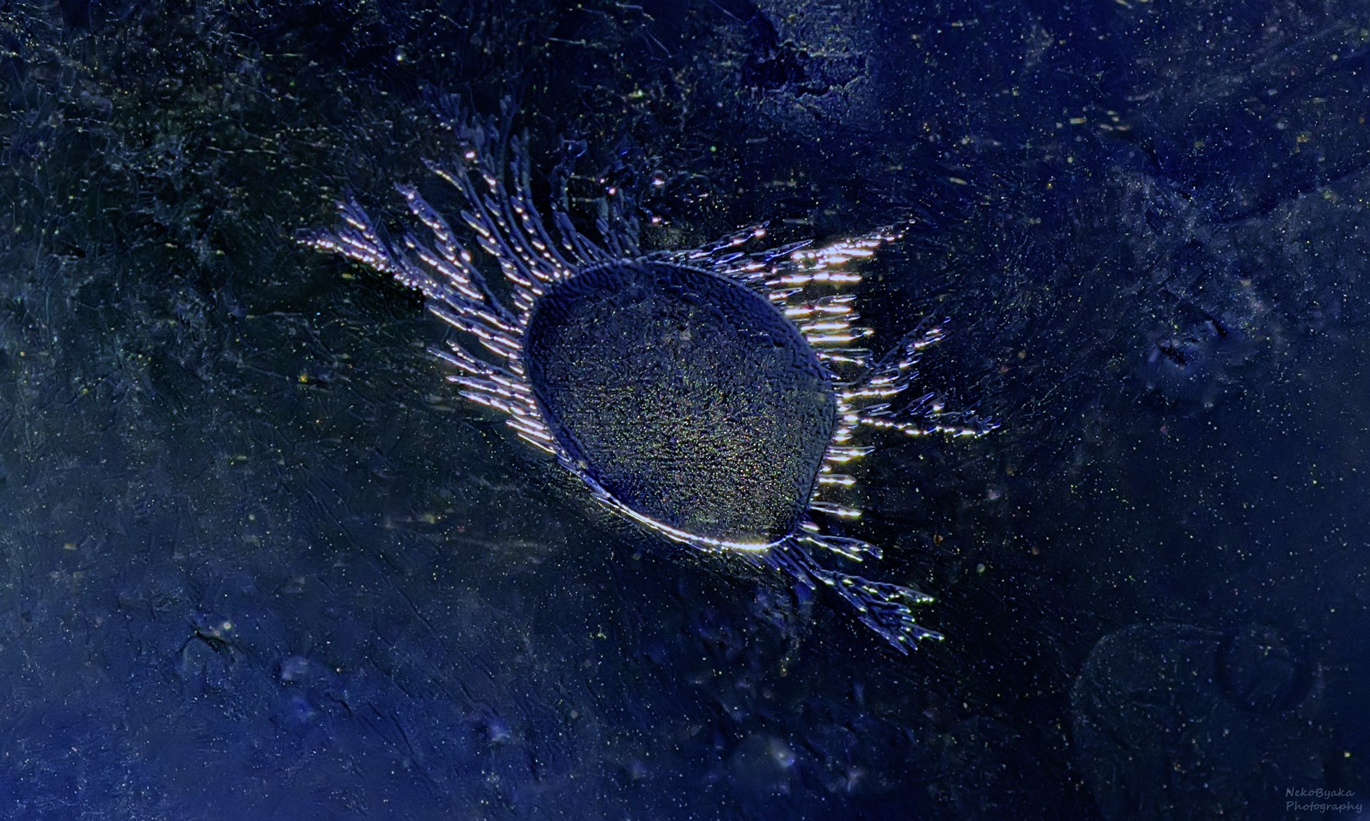 "Космический" лед