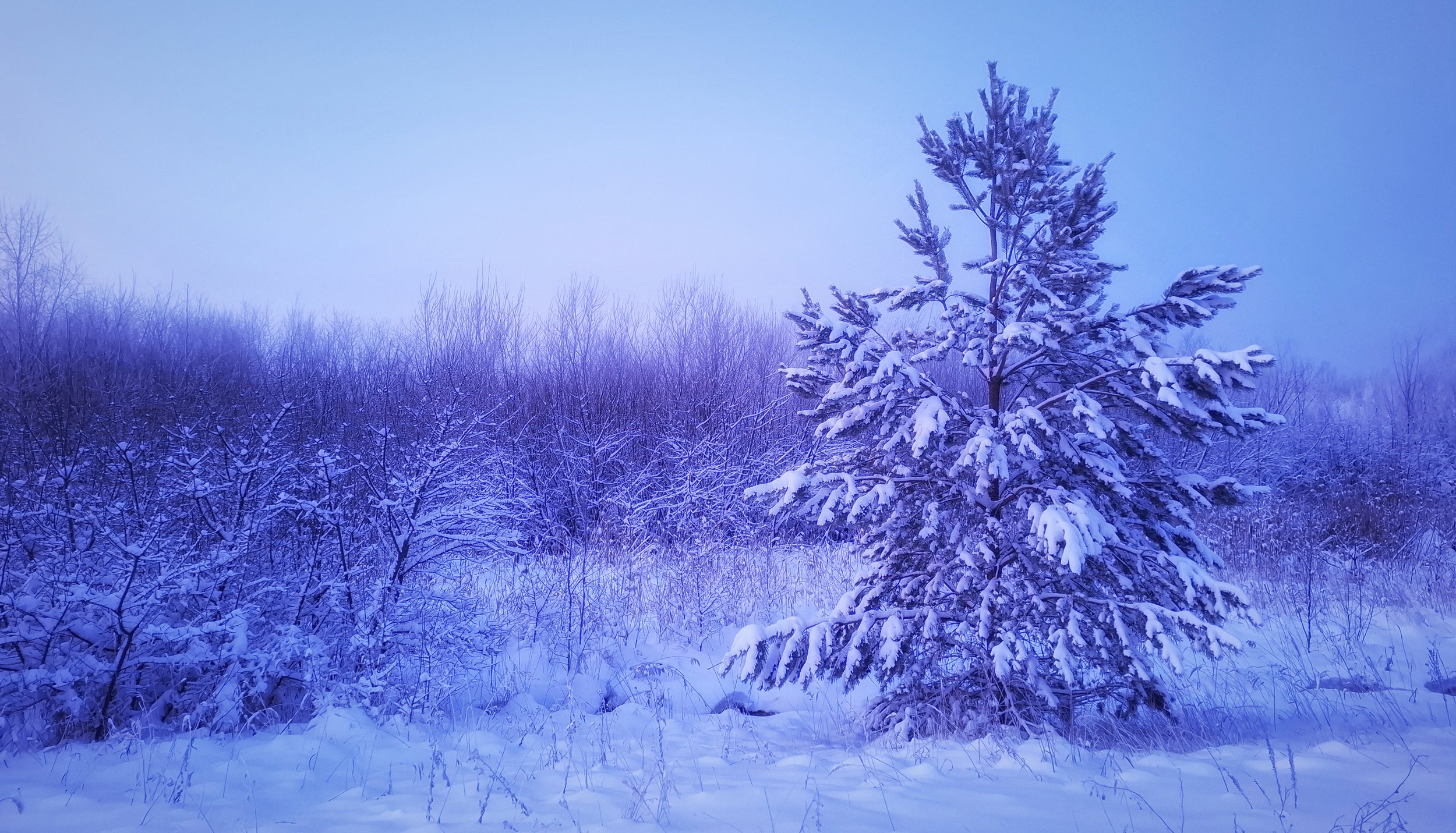 Декабрьское утро