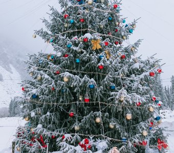 В ожидании бала