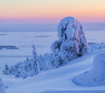 Нежные краски зимы