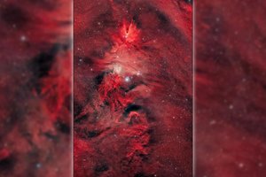 Космическое фото: рождественская елка шириной 80 световых лет