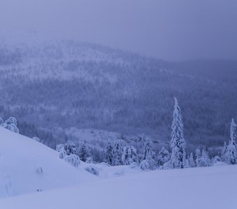 Зимнее безмолвие