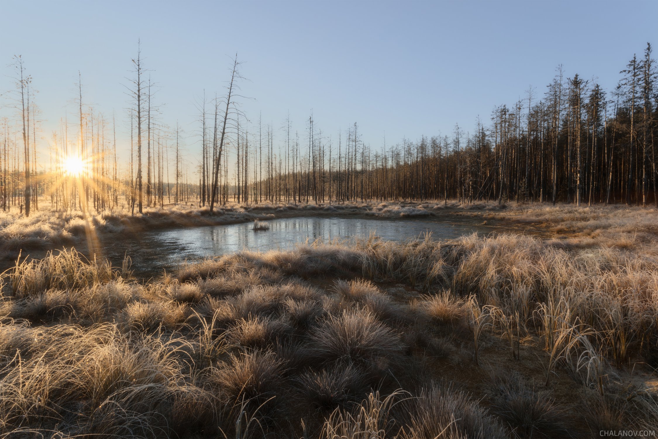 Первые заморозки