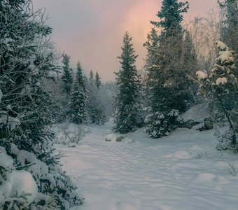 Декабрьские зарисовки