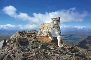 Прекрасно без прикрас: победители фотоконкурса РГО