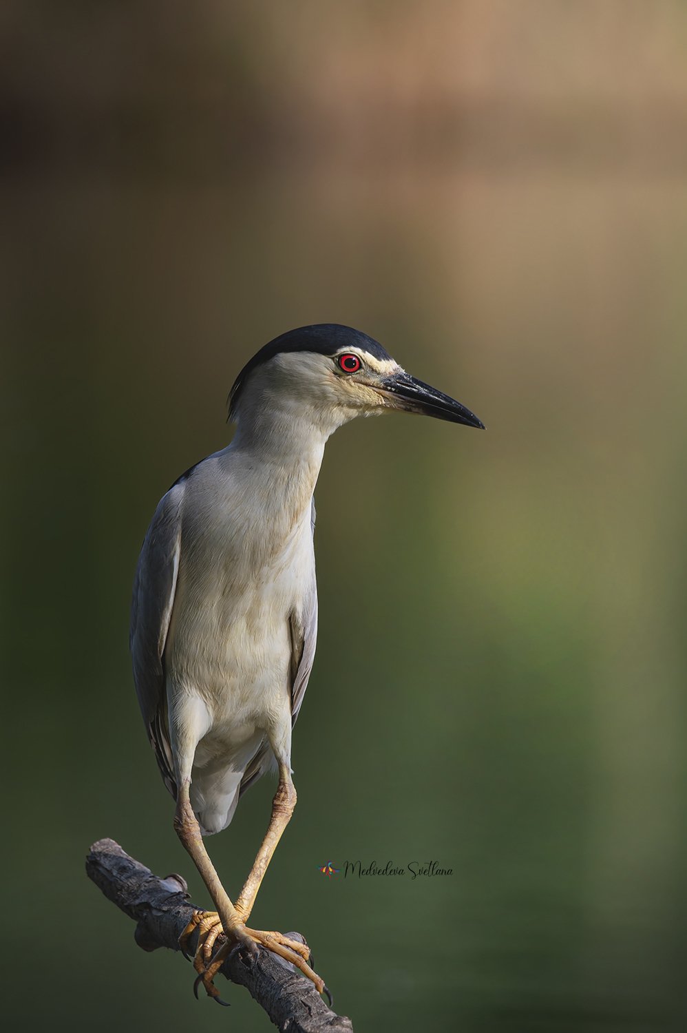 Позиция № 1