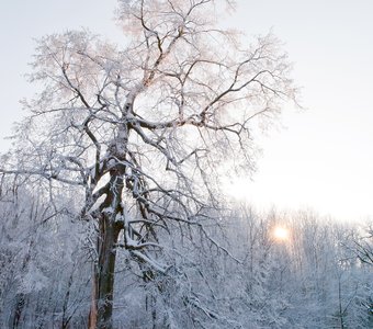 Окончание зимнего дня