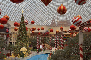 Новый год в «Острове Мечты»