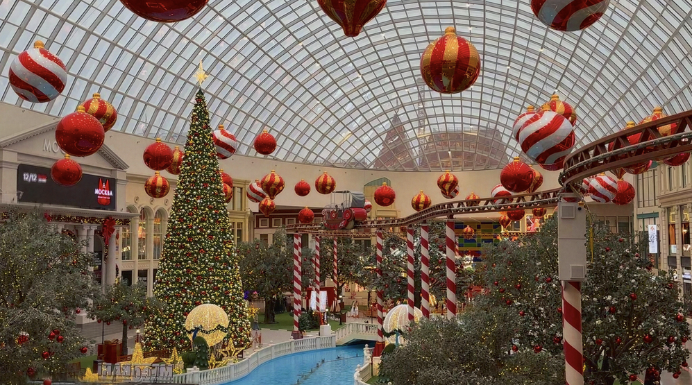 Новый год в «Острове Мечты»