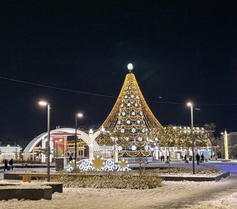 Главное новогоднее дерево Армавира