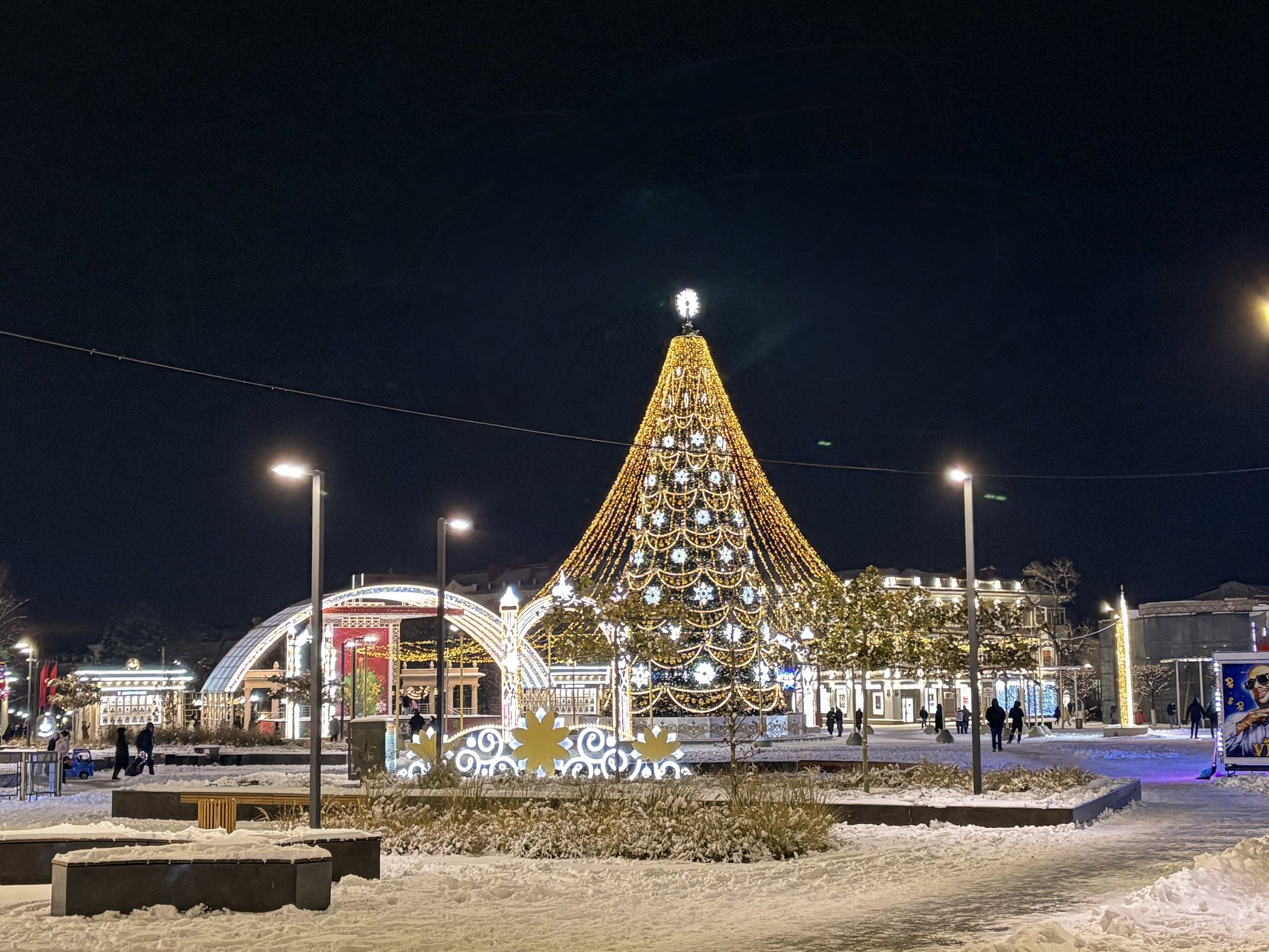 Главное новогоднее дерево Армавира