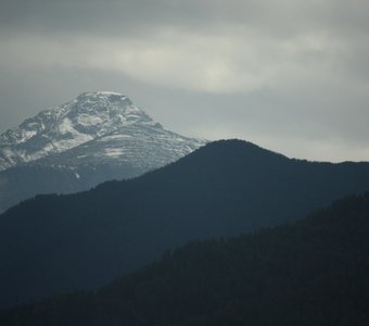 Алтайский градиент