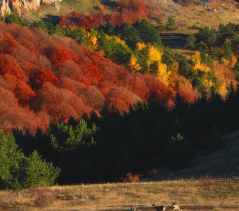 Осенние краски Демерджи