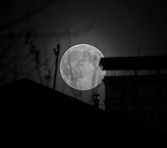 сказки на крыше