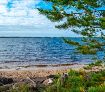 Карелия, оз. Энгозеро