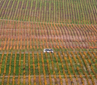 Винный маршрут