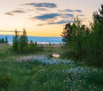 Летний вечер
