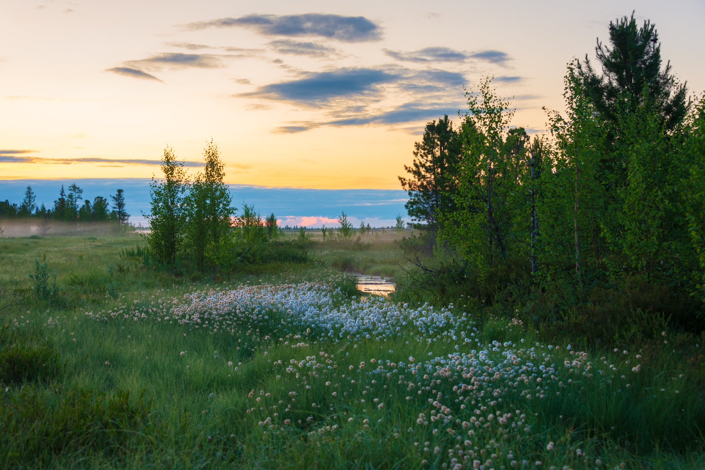 Летний вечер
