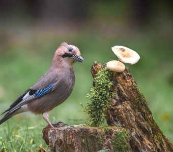 На календаре зима.