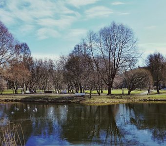 Берег левый, берег правый