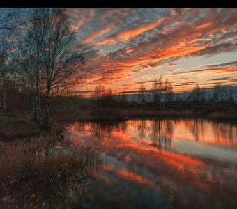 Утро в Мещёре