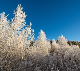 Украшения после морозной ночи , озеро Зюраткуль