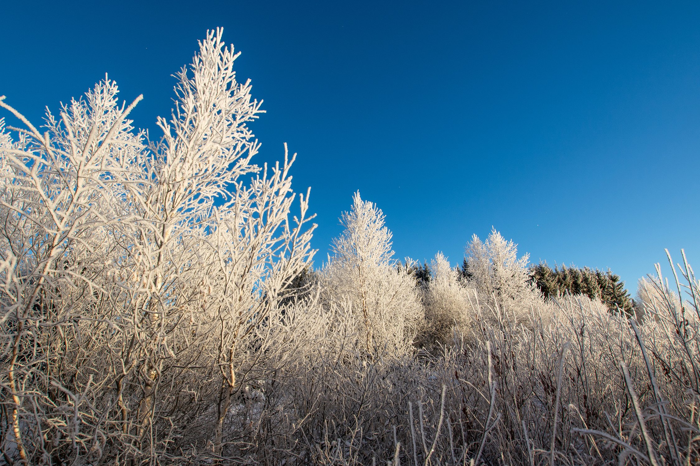 Украшения после морозной ночи, озеро Зюраткуль