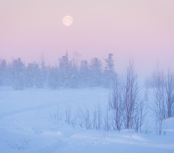 Зимний пейзаж